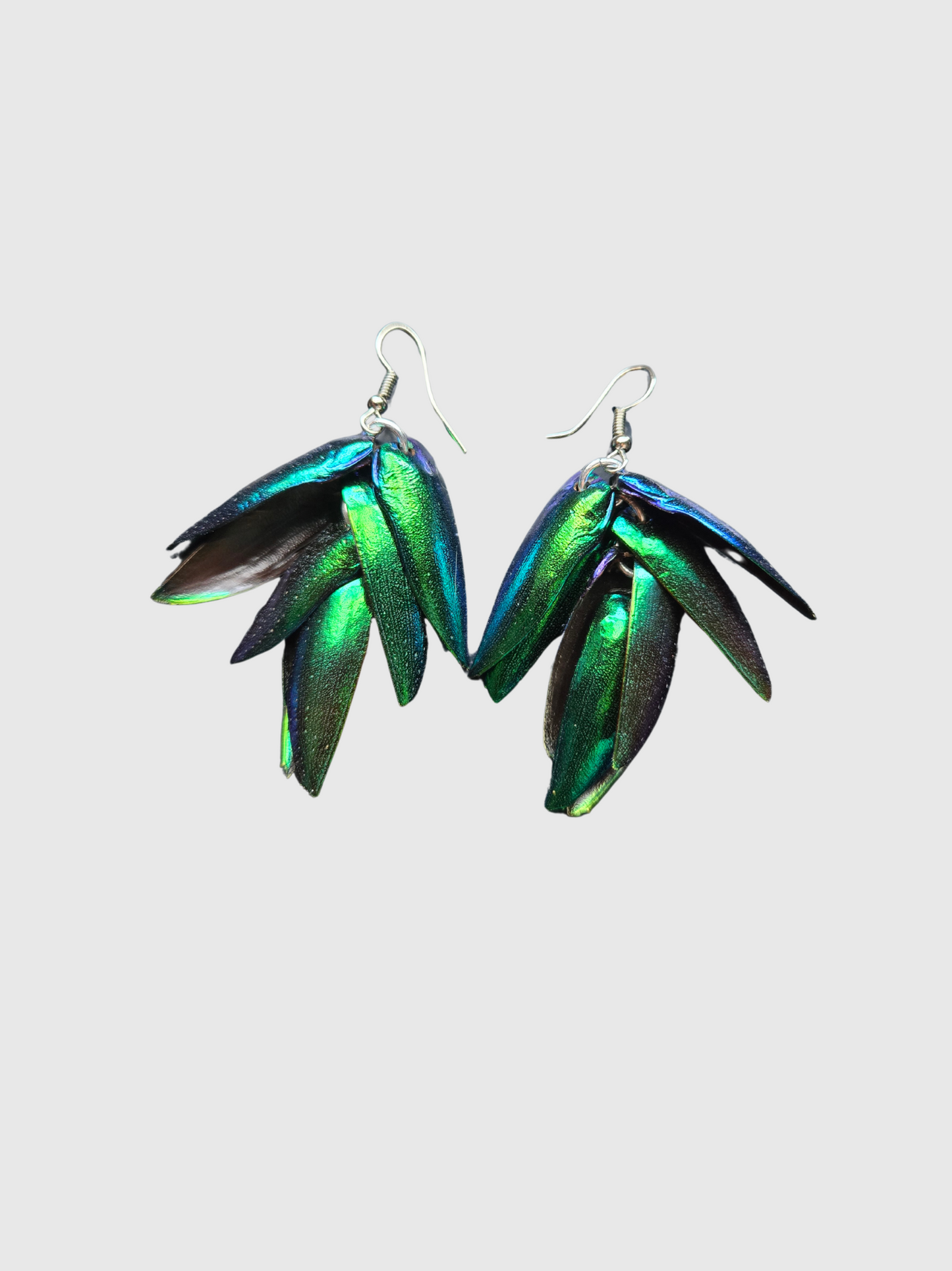 Beetle Wing Earrings image 1
